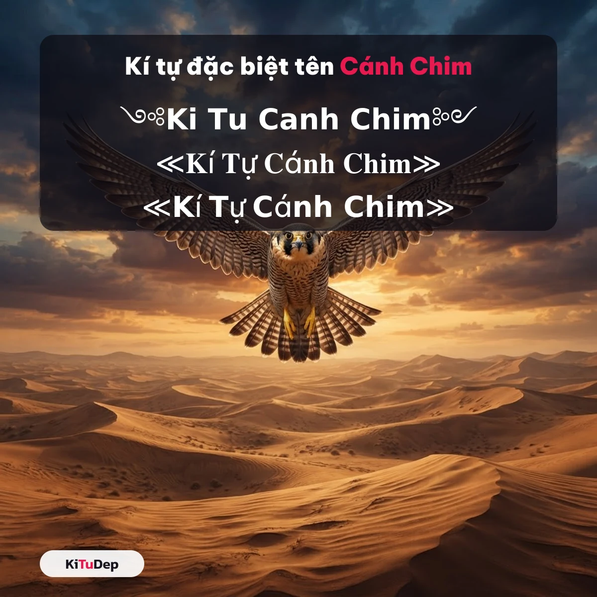 Kí tự cánh chim chép 1 chạm