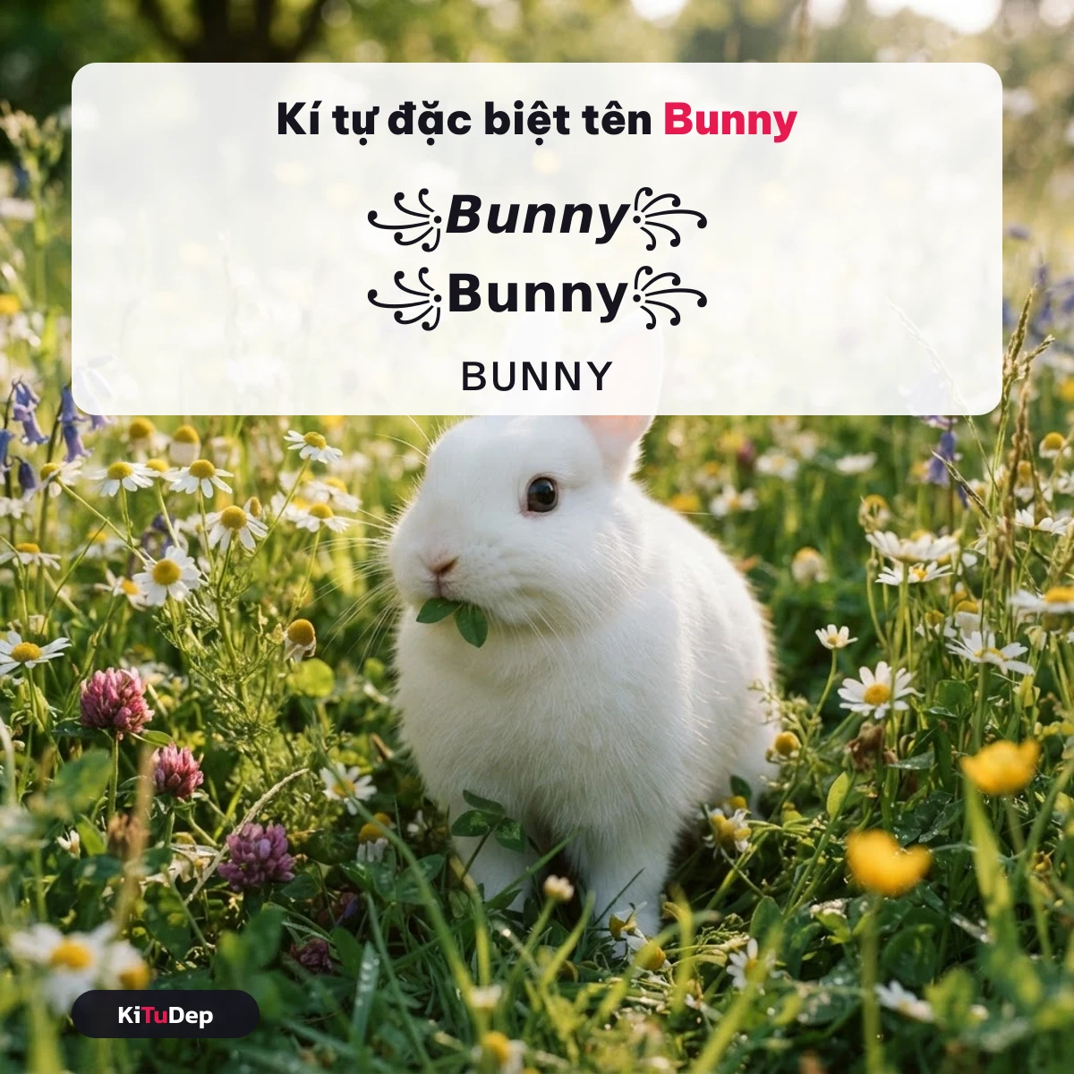 Kí tự đặc biệt tên Bunny — mẫu nickname do cộng đồng gửi