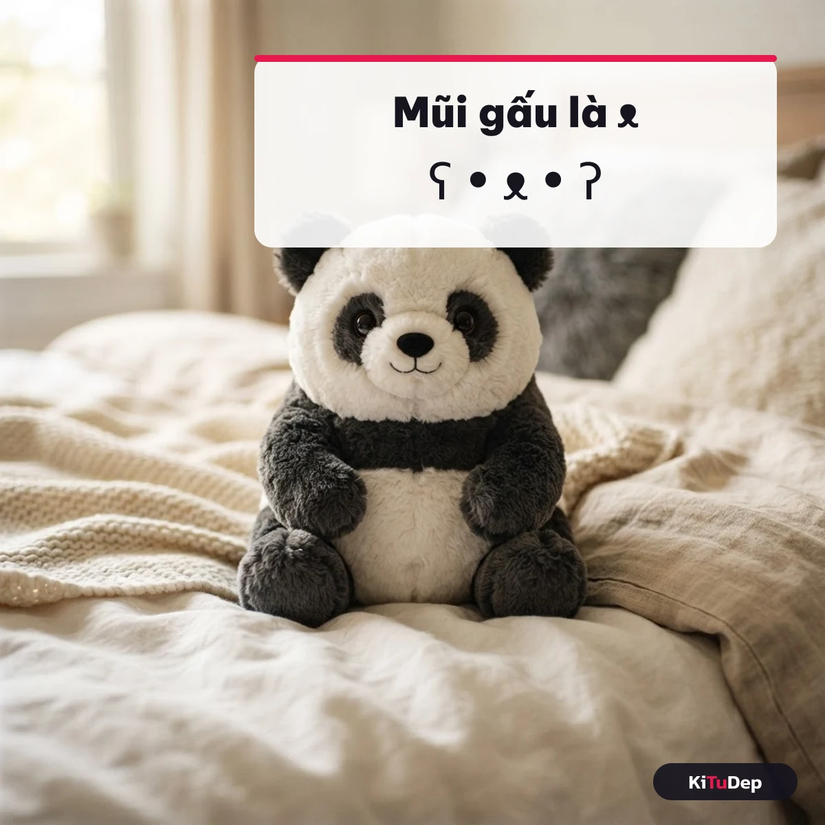 Kí tự mũi gấu ᴥ và cách ghép mặt gấu